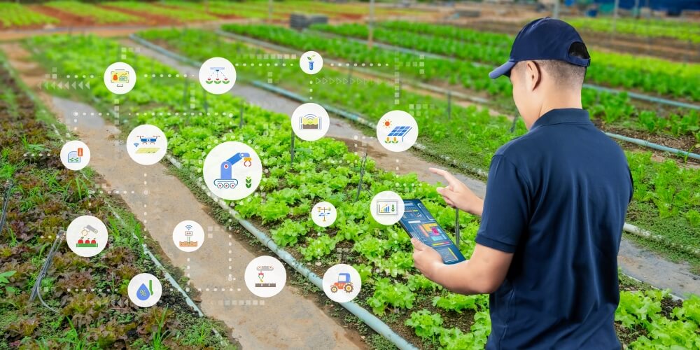 智慧農業、漁業轉型適合我嗎？缺工困境到PLC自動化一次搞懂